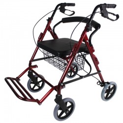 Rollator fauteuil de transfert Vicor Identités - 2