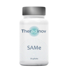 Articulations & Cartilages - Glucosamine-Chondroïtine-MSM Vegan – 180 gélules Therapinov - 1