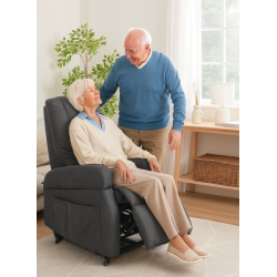 Fauteuil releveur roulant Narvik LCM - 1