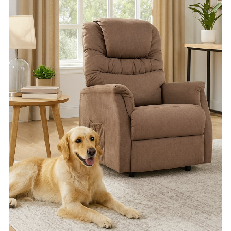 Fauteuil releveur easy II - 2 moteurs LCM - 5