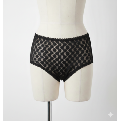 Culotte incontinence femme - ARIELLE Dentelle - SANYGIA Sanygia - 1