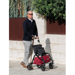 Rollator Playcare 4 roues R08  - 4