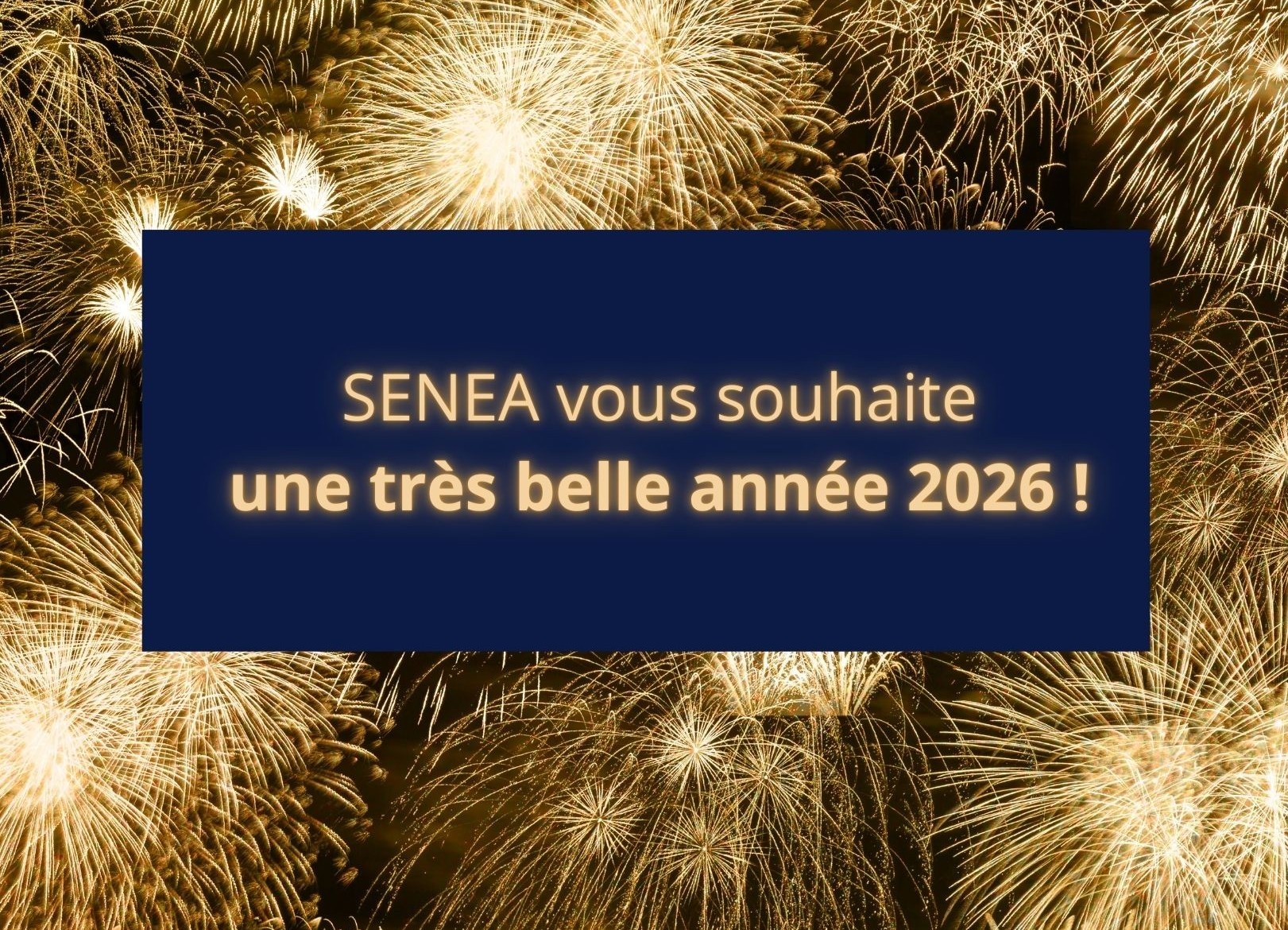 Bonne année 2026