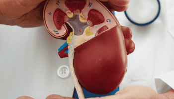 Incontinence urinaire : types, degrés et quand consulter un spécialiste ? 